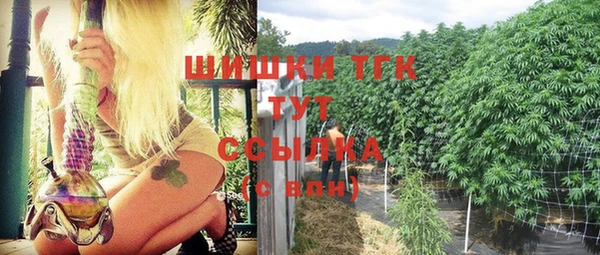 молекула духа Сосновоборск