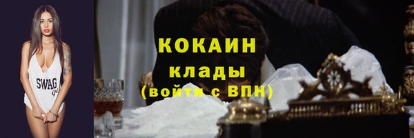 стаф Волосово