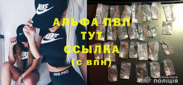 стаф Волосово