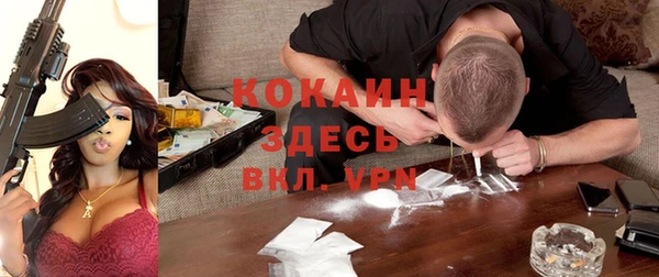 молекула духа Сосновоборск